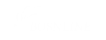 وشى  بوشنجليان  دولي  تجارة  المحدودة.